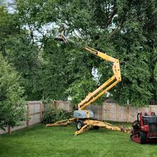 Reliable Corpus Christi, TX  Tree Services Solutions